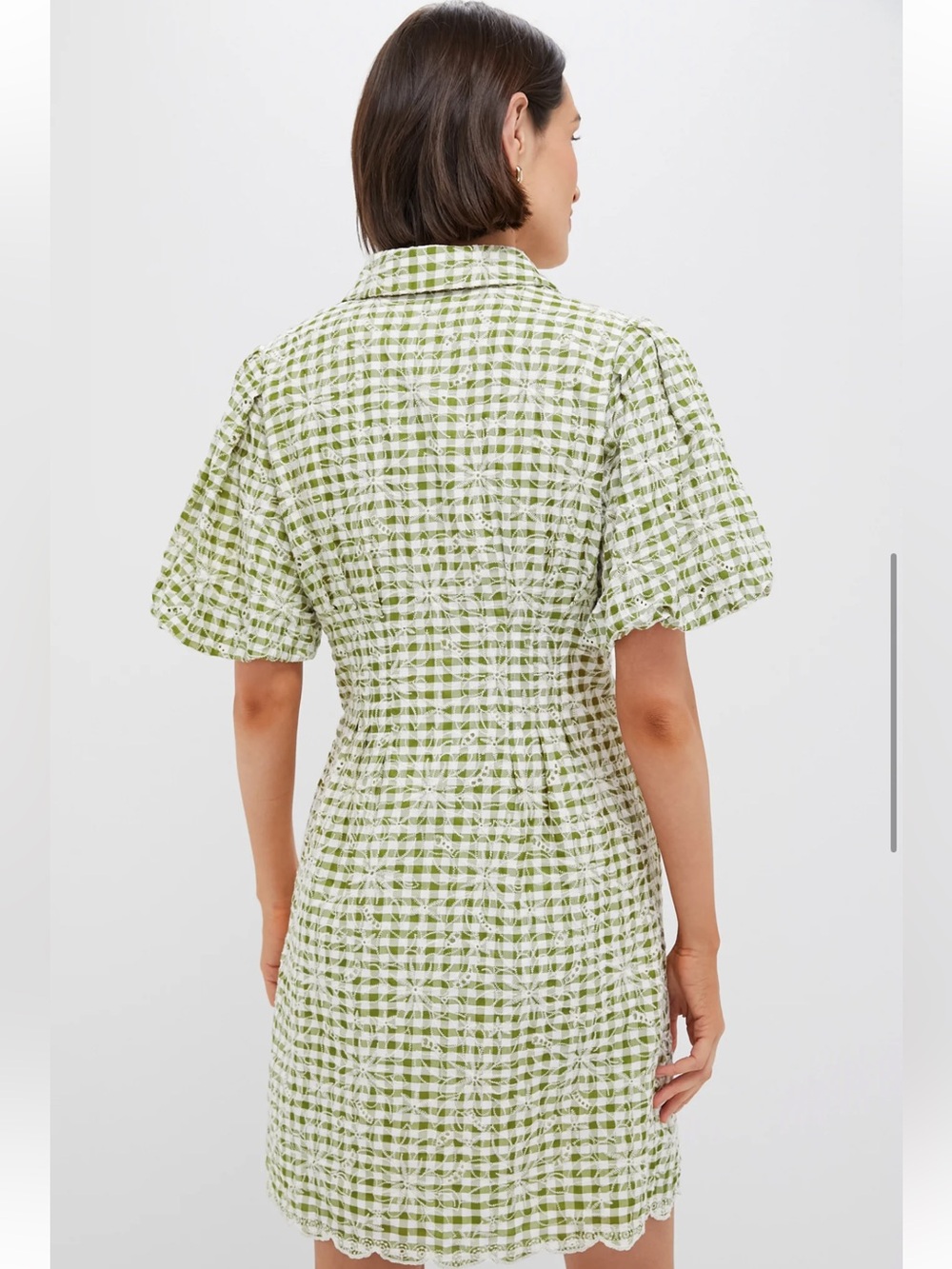 Tuckernuck Embroidered Floral Green Gingham Mini Delaney Dress Size Medium - Picture 5 of 8